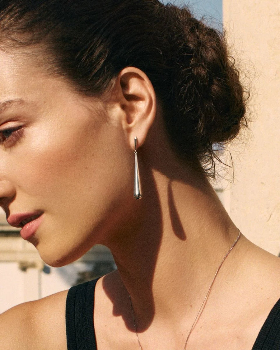 Örhängen Drops Earrings L Steel
